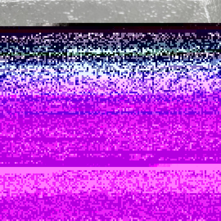 더미러THE Mirror_사진_20260111_9.jpg