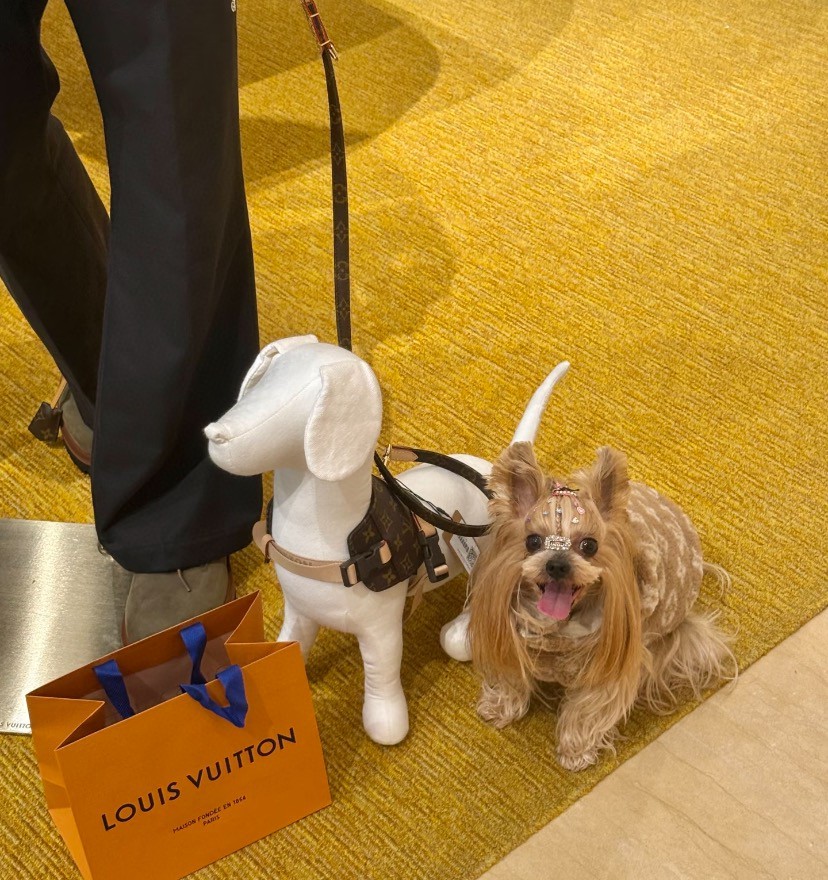 더미러THE Mirror_사진_20260120_9.jpg