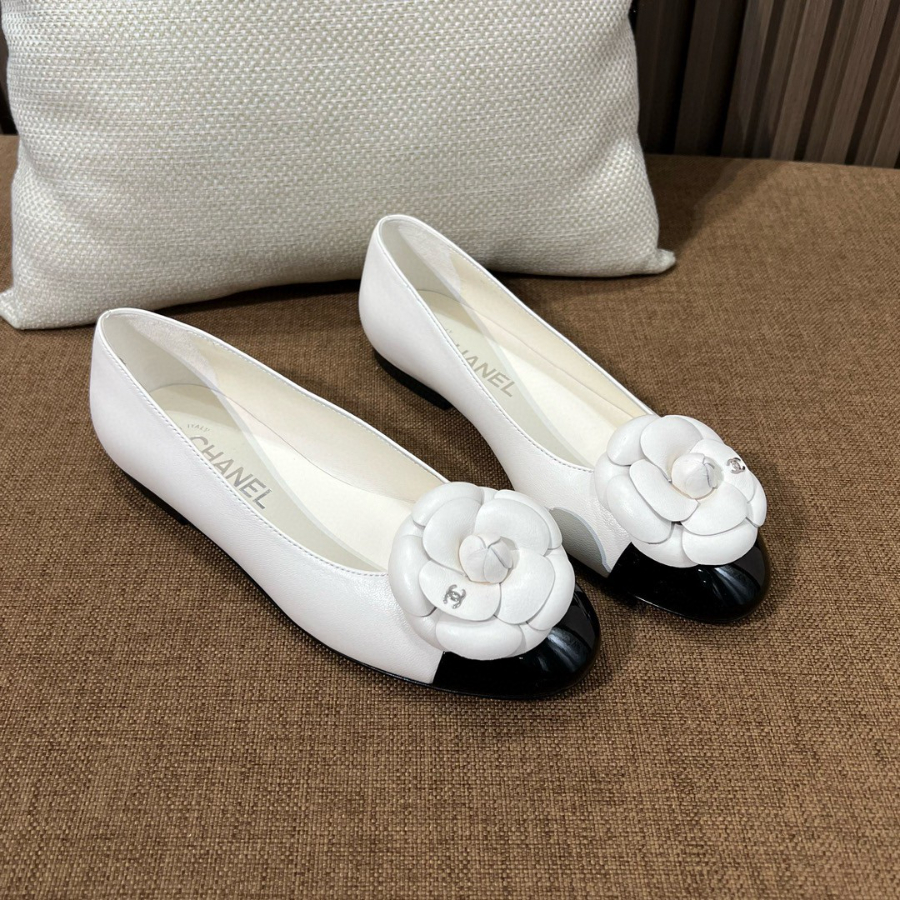 더미러THE Mirror_사진_20260214_1.jpg