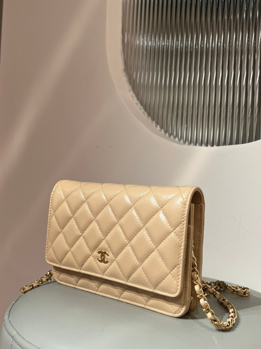 더미러THE Mirror_사진_20260308_2.jpg