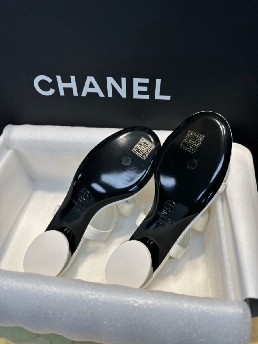 더미러THE Mirror_사진_20260316_8.jpg