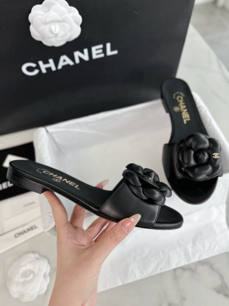 더미러THE Mirror_사진_20260316_5.jpg