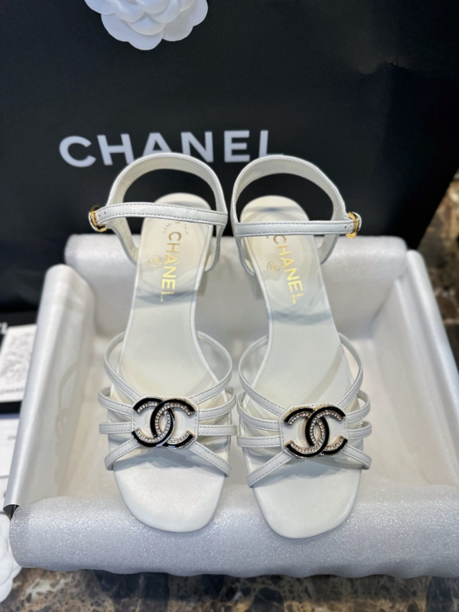 더미러THE Mirror_사진_20260316_1.jpg