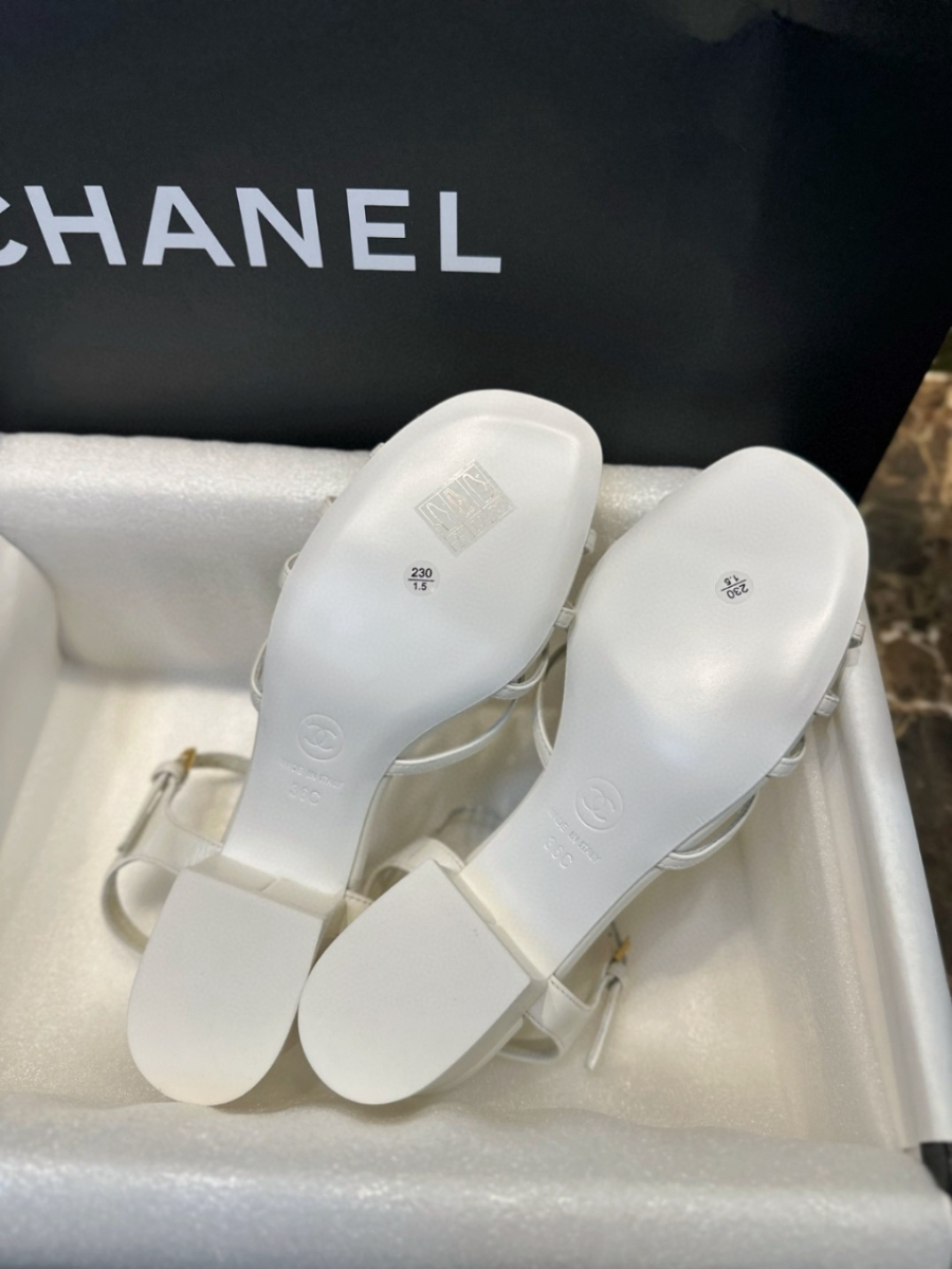 더미러THE Mirror_사진_20260316_7.jpg