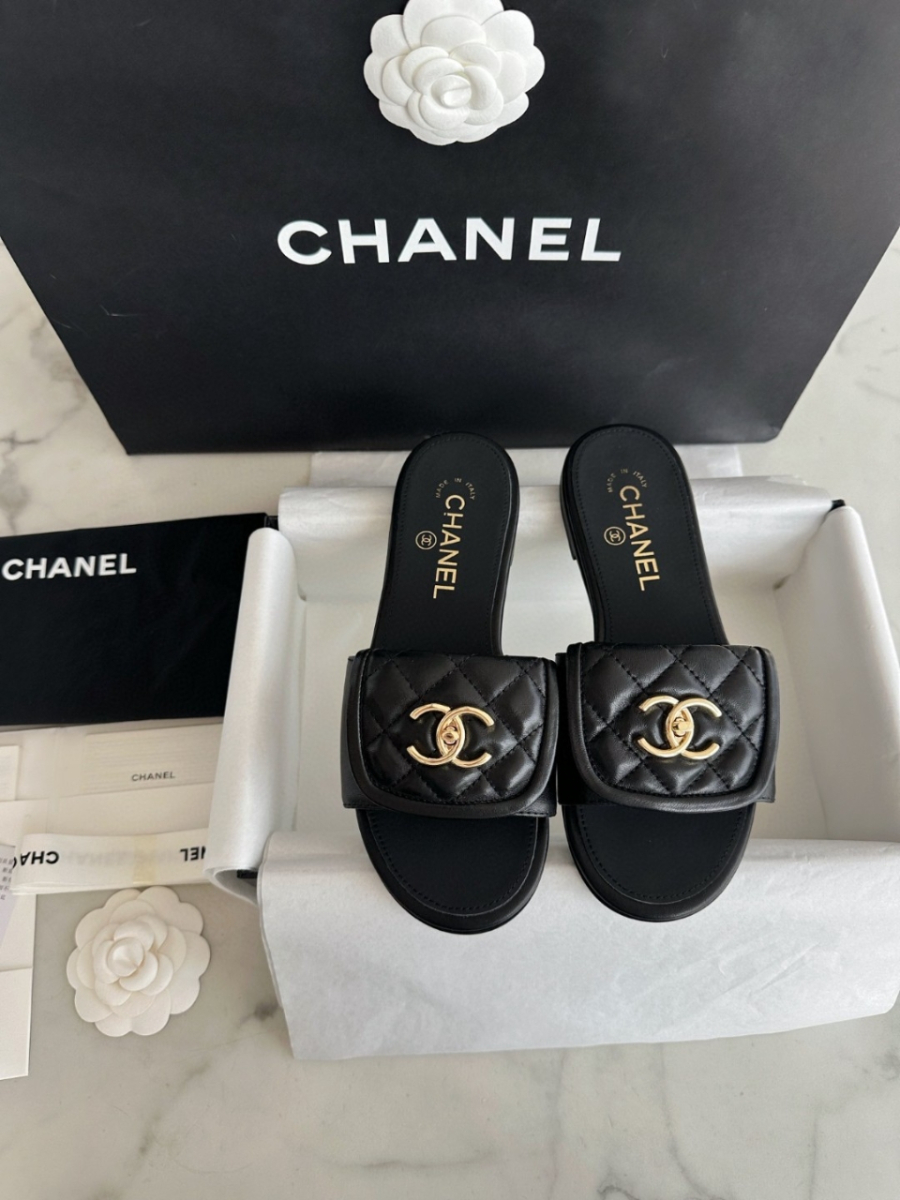 더미러THE Mirror_사진_20260316_1.jpg